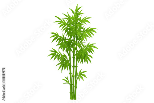 Lush green bamboo plant with multiple stalks and foliage isolated on white