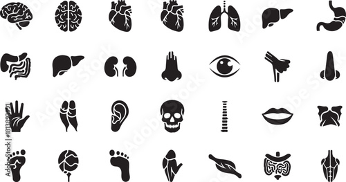 Collection of Black and White Icons Representing Human Anatomy and Organs