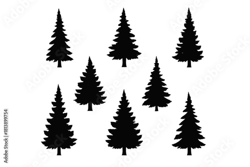 Collection of black silhouette shapes of various evergreen conifer trees