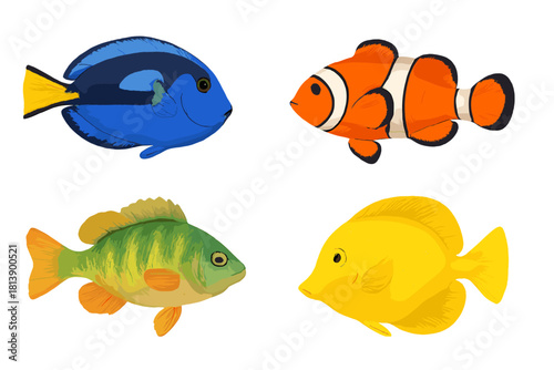 Colorful collection of four tropical fish including clownfish, blue tang, and yellow tang isolated on white