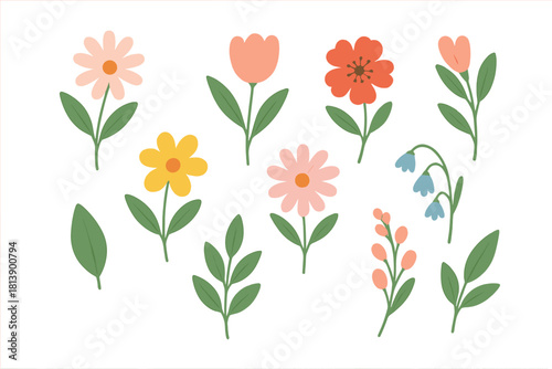 Collection of colorful blooming spring and summer flowers with green foliage