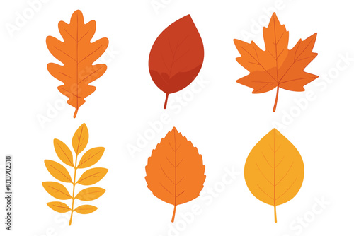 Diverse collection of fall foliage elements in warm seasonal colors isolated on white