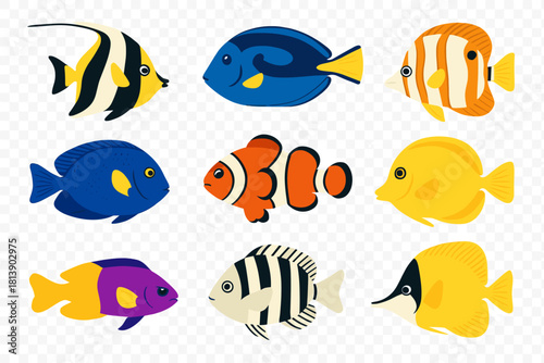 Nine colorful tropical fish species including clownfish, tang, and butterflyfish
