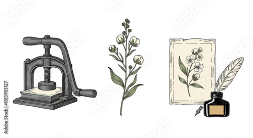 Vintage Botanical Press, Cotton Plant, and Quill Pen with Inkwell Illustration Set.