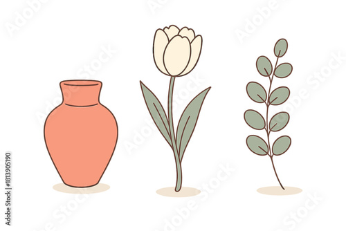 Minimalist terracotta vase with white tulip and green eucalyptus branch on white