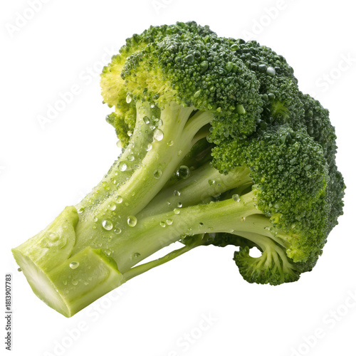 A fresh broccoli head with vibrant green florets, showcasing fine details and water droplets on its surface.