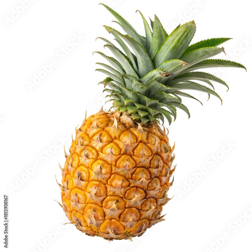 A ripe pineapple with a textured golden-brown skin and lush green leaves atop its crown.
