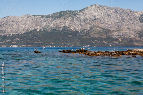 Coastal Croatian landscape with rocky ledges and seagulls resting above the turquoise sea. Peaceful island scenery capturing Mediterranean nature and shoreline wildlife.