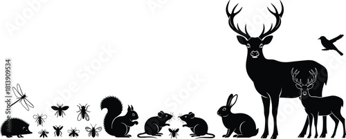 Vector silhouette illustration of woodland animals including deer, rabbit, squirrel and insects, black forest wildlife collection isolated on white background, nature set.