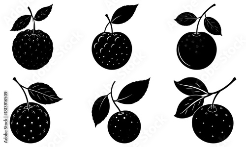 Illustration of various plums with leaves in black and white silhouette style graphic design art work