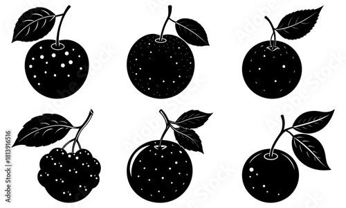 Illustration of six black and white plums with leaves and stems in various arrangements and patterns