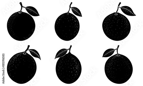 Six black plums with leaves arranged in two rows showcasing their simple yet elegant silhouette style design