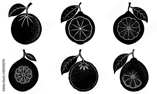 Six stylized lemons with leaves in black and white showing whole and cross section views in a pattern