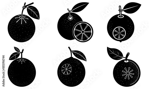 Illustration of six citrus fruits with leaves in black and white woodcut style graphic design elements