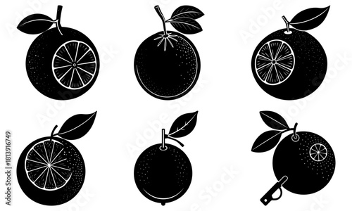 Illustration of six black and white citrus fruits with leaves in various styles and orientations