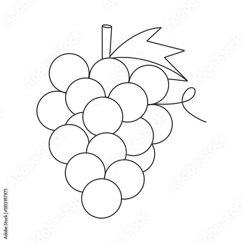 Obraz na plátně bunch of grapes