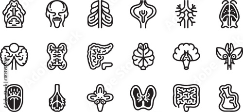 Collection of stylized icons representing human organs and biological structures