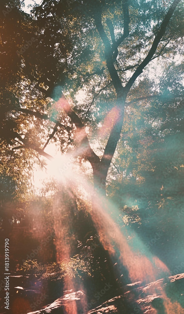 Fototapeta premium Transparent light leak ovely effect. Transparent fil grain light leak texture verly effect.