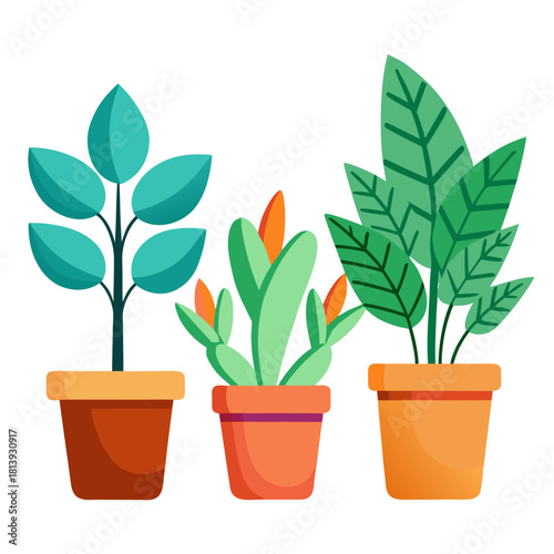 Three potted houseplants with colorful leaves and flowers