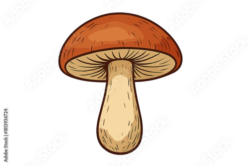 Detailed depiction of an isolated wild forest mushroom featuring a thick stem and brown cap