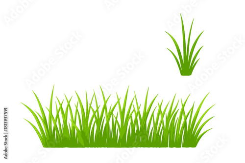 Fresh green grass border and single tuft elements isolated on white background
