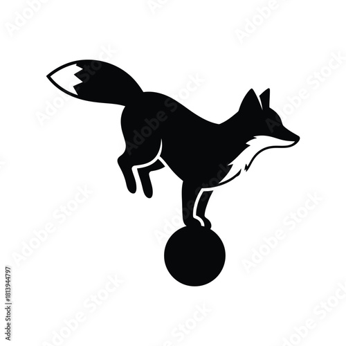 Black fox balancing on ball vector illustration circus animal wild creature playful pet isolated on white background