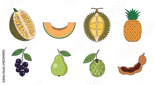 Assortment of fresh tropical fruits illustration for design elements