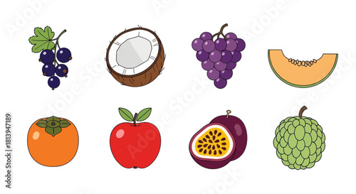 Assortment of vibrant cartoon fruit illustrations on a clean white background