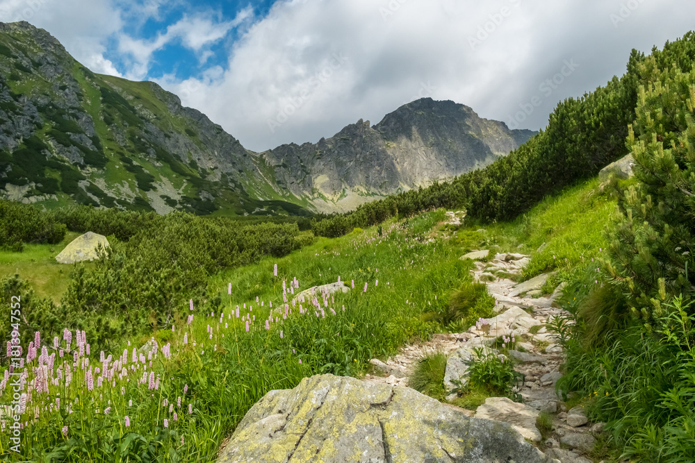Obraz premium Scenic stone footpath on the hiking trail leading to Popradske Pleso lake in the High Tatras National Park, Slovakia.