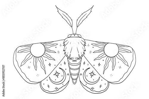 Celestial moth, butterfly line with sun and moon on wings magic mystical tattoo. Universe wing moth. Celestial occult moon sketch. Line animal drawing design. Esoteric totem boho insect 