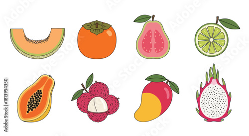 Assortment of vibrant tropical fruits in a flat design illustration