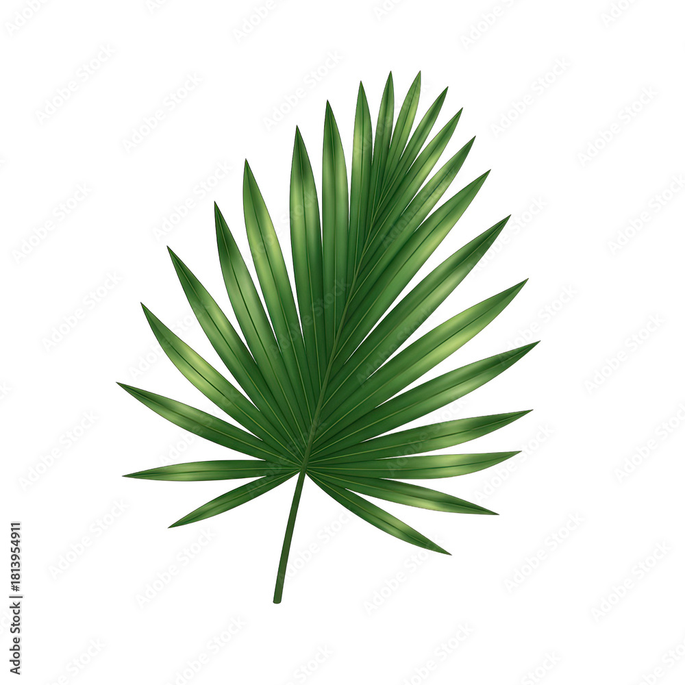 Fototapeta premium Detailed Green Palm Frond with Sunlight Highlights Against a Transparent Background