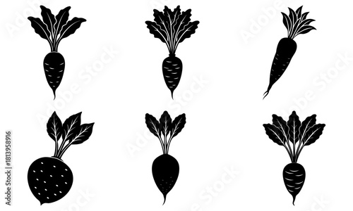 Silhouette illustration of six root vegetables including carrots and beets on a white background