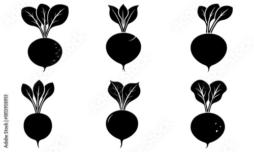 Silhouette illustration of six radishes with varying leaf arrangements and root shapes in a grid pattern