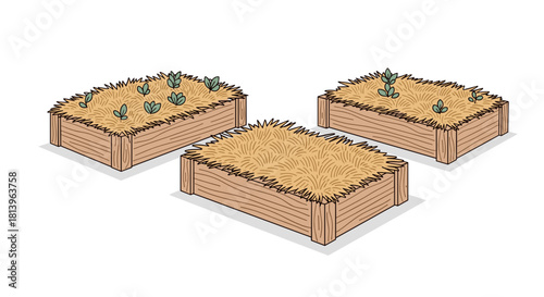 Raised garden beds with straw and various plants in garden setting  
