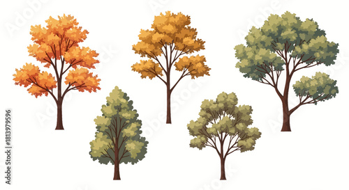 Illustration of five trees with different leaf colors and shapes.