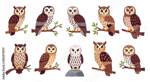 A collection of ten different cartoon owls perched on branches and a rock, showcasing a variety of species and colors.