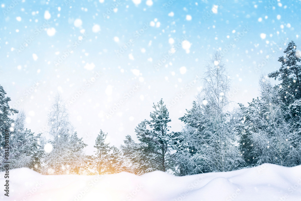 Fototapeta premium Winter landscape. Forest with snow covered trees.
