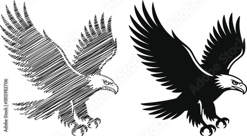 Eagle sketch and silhouette on white background