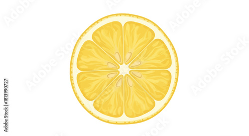 A detailed vector illustration of a bright yellow lemon slice, isolated on a clean white background.