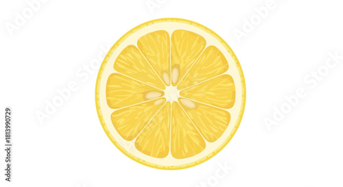 A vibrant, detailed illustration of a cross-section of a ripe yellow lemon, showcasing its juicy segments and seeds.