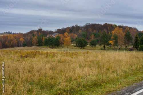 Fototapeta Naklejka Na Ścianę i Meble -  jesienne widoki gdzieś w małopolsce