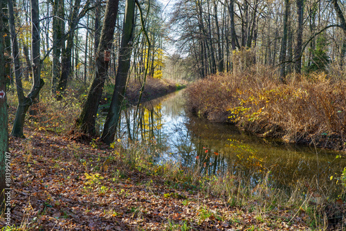 Fototapeta Naklejka Na Ścianę i Meble -  Park Pszczyna ze śląskiego rodu Promnitzów