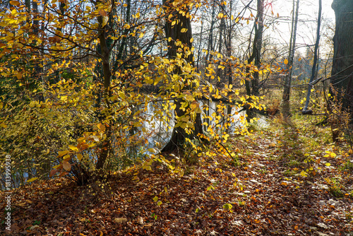 Fototapeta Naklejka Na Ścianę i Meble -  Park Pszczyna ze śląskiego rodu Promnitzów