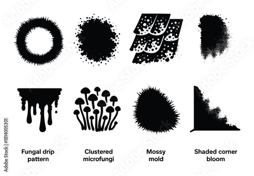 Abstract fungal designs with drip patterns and mold depictions