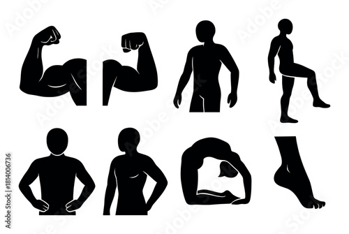 Silhouettes of human figures displaying various poses and movements