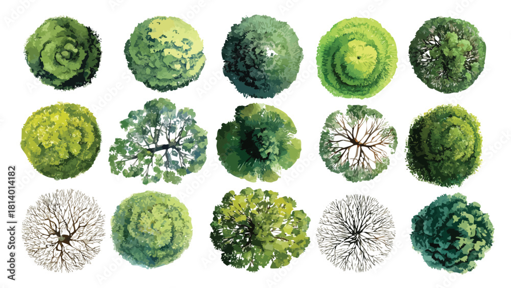 Fototapeta premium Collection of fifteen diverse green and bare trees viewed from directly above in a top down perspective with varied foliage textures and branch structures