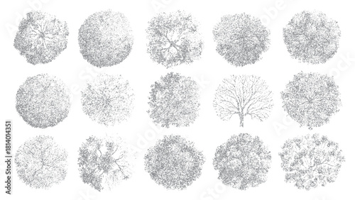 Fifteen top down view illustrations of various trees rendered in grey stippling on a white background