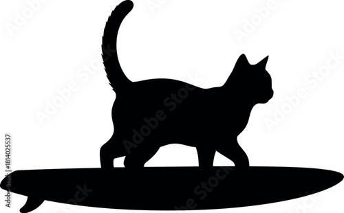 Silhouette cat surfing on surfboard
