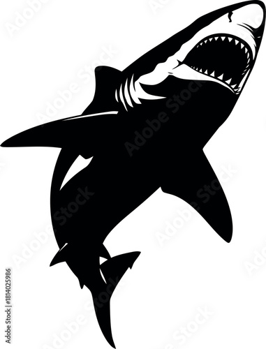 Aggressive shark silhouette open mouth predator